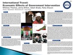 International Travel: Economic Effects of Government Intervention