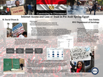 Connecting to Disconnect: Internet Access and Loss of Trust in Pre-Arab Spring Egypt