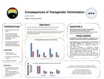 Consequences of Transgender Victimization