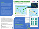 Croatian Seagrass Meadows: Time Change Detection of Loss due to Anchoring Damage