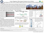 Genetic Mapping of a Bitter Saponin Gene in Quinoa by Ryan Rupper, P Jeff Maughan, and Eric N. Jellen