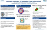 Using Non Stem-Cells to Understand Early Tumor Growth