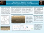 You Are What You Eat at Any Age: Carbon and Nitrogen Analysis of Mummies from an Ancient Egyptian Necropolis by Stephen Funk and R. Paul Evans