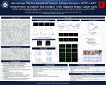 Macrophage Toll-Like Receptor Chimeric Antigen Receptor: MOTO-CAR™ Shows Potent Activation and Killing of Triple Negative Breast Cancer Cells by Michelle H. Townsend, Jonathan R. Skidmore, Kelsey A. Bennion, Guoying Wang, Zachary D. Ewell, David Lum, Michael Boyer, and Kim L. O'Neill