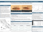 <i>Brachyraphis</i> Fish Morphological Behavior When Faced With Competition by Lexie Chamberlain, Trevor J. Williams, Alli G. Duffy, and Jerald B. Johnson