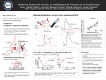 Modeling Enzymatic Kinetics of the Dopamine Transporter in the Striatum