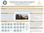 Optimal Sea Otter Weaning and Pup Abandonment by Lexanne Klimes, Laura S. Fletcher, Nicole Thometz, and Blaine D. Griffen