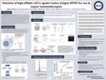 Selection of high-affinity scFvs against tumor antigen HPRT for use in cancer immunotherapies