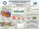 Overcoming Detrimental Potato Fungi in potato fields with the Secondary Metabolites of Naturally Occurring Steptomyces