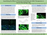 Quantifying the Effects of Potential Small Molecule CHIKV Therapeutics in Human Macrophage Cells