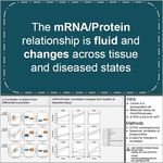 The mRNA/Protein relationship is fluid and changes across tissue and diseased states