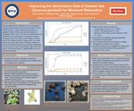 Improving the Germination Rate of Gambel Oak (Quercus gambelii) for Mineland Restoration