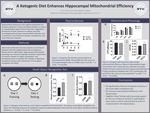 A Ketogenic Diet Enhances Hippocampal Mitochondrial Efficiency