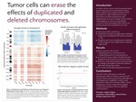 Tumor cells can erase the effects of duplicated and deleted chromosomes
