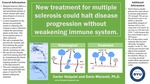 New treatment for multiple sclerosis could halt disease progression without weakening immune system