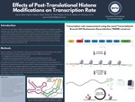 Effects of Post-Translational Histone Modifications on Transcription Rate by Aaron Bohn, Sarah Hodson, Sarah Ricks, David Bates Ph.D, and Steven M. Johnson Ph.D