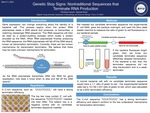Genetic Stop Signs: Nontraditional Sequences that Terminate RNA Production
