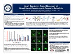 Heart Breaking: Rapid Discovery of Novel Heart Development Genes in Zebrafish by Bryce Johnson, Andrew Jenkins, Ryan Halls, Cayden Bro, and Jonathon T. Hill