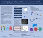 Isolating Highly Specific Antibodies Against Cancer Target HPRT by Austin J. Hansen, Christopher J. Haynie, Kiara V. Whitley, Michelle Townsend, Abby Johnson, Hunter Lindsay, Laura Baird, and Kim L. O'Neill