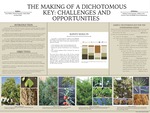 The Making of a Dichotomous Key: Challenges and Opportunities