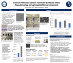 Carbon-infiltrated carbon nanotube surfaces affect Pseudomonas aeruginosa biofilm development
