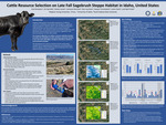 Cattle Resource Selection on Late Fall Sagebrush Steppe Habitat in Idaho, United States