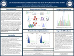 Cell Death, Inflammation, and Extracellular Vpr in the R77Q Mutation of Vpr in HIV-1 by Amanda Carlson, Brad K. Berges, and J. Brandon Lopez