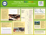 Chasing the Rainbow: Systematics of New Guinean Rainbow Skinks