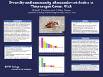 Diversity and community of macroinvertebrates in Timpanogos Caves, Utah