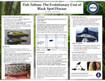 Fish Tattoos: The Evolutionary Cost of Black Spot Disease by Eric J. Morris and Jerry B. Johnson