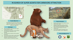 In search of super-scents for carnivore attraction by Megan Doxey
