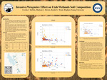 Invasive Phragmites Effect on Utah Wetlands Soil Composition by Cecilia Steffen, Rachel Wood, and Madison L. Brown