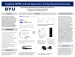 Targeting HSP90: A Novel Approach to Combat Synovial Sarcomas