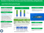 Variation in Vital Rates Among Least Chub (Iotichthy phlegethontis) by Lauren Applebee, Mark C. Belk, and Nathan St. Andre