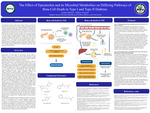The Effect of Epicatechin and its Microbial Metabolites on Differing Pathways of Beta-Cell Death in Type I and Type II Diabetes by Aubree Bench and Jeffery S. Tessem