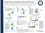 Using Chimeric autoantigen receptor (CAAR) T cells to eliminate autoreactive B cells in autoimmune diseases by Abigail Cheever, Chloe Kang, Hunter Lindsey, Mackenzie Hansen, Kim O'Neill, and Scott Weber