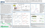 Cholesterol‑Containing Membranes Decrease the Helicity of the SNARE Protein SNAP‑25 by Christopher E. Hunt Jr., Jason T. Carlson, Michael B. Connell, Fatima D. Dagohoy, Mike Sumison, Jonathan Madsen, Chase M. Tingen, Azer E. White, Tanner M. Blocker, and Dixon J. Woodbury