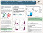 Enhancing Metabolic Fitness of CAR T-Cells by Removing CD6
