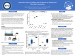 Interactive Effects of Salinity and Glyphosate on Wetland Soil Microbial Communities