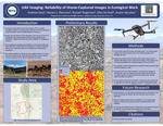 UAV Imaging: Reliability of Drone-Captured Images in Ecological Work