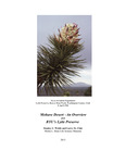 Mohave Desert—An Overview and BYU's Lytle Preserve by Stanley L. Welsh and Larry St. Clair