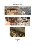 Mesa Verde Vegetal Survey by Stanley L. Welsh