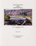 Water in Beaver Dam Wash and Lytle Preserve by Stanley L. Welsh