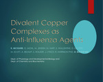 Divalent Copper Complexes as Anti-Influenza Agents