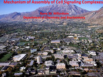 Mechanism of Assembly of Cell Signaling Complexes by Barry M. Willardson