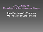 Identification of a Common Mechanism of Osteoarthritis by David Kooyman