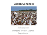 Cotton Genomics by Joshua Udall
