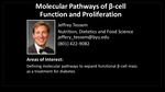 Molecular Pathways of β-cell Function and Proliferation by Jeffery S. Tessem