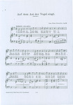 Auf dem Ast der Vogel singt by Lena Stein-Schneider